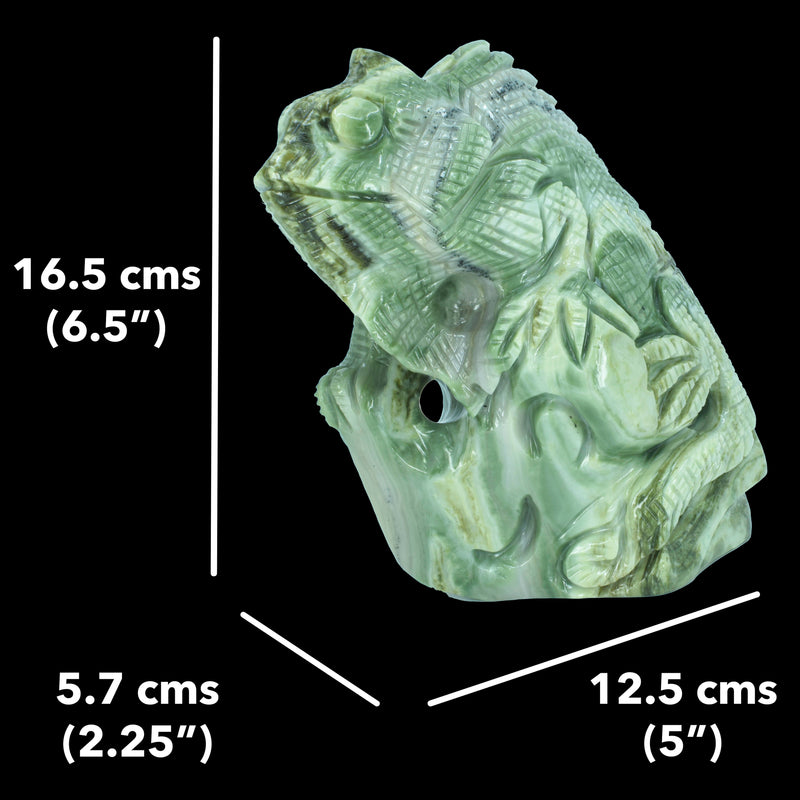 Chameleon Carving - Infinity Serpentine (1094 Grams)