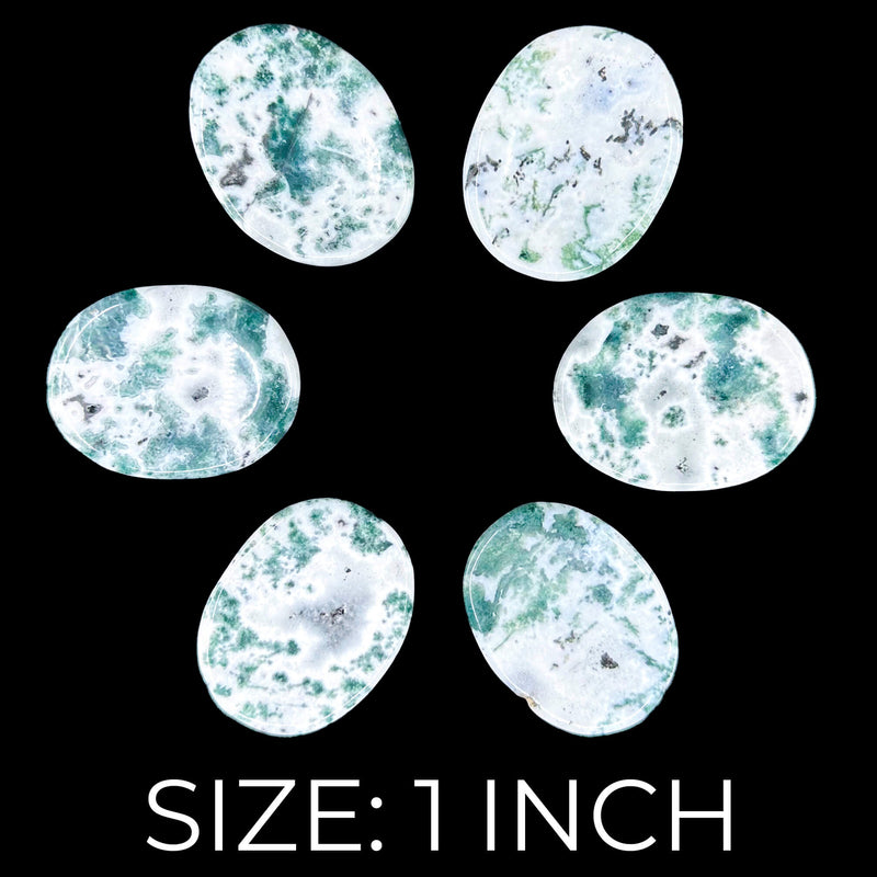 Tree Agate Worry Stones