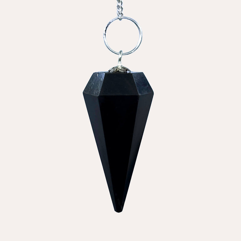 6 Faceted Pendulum - Shungite