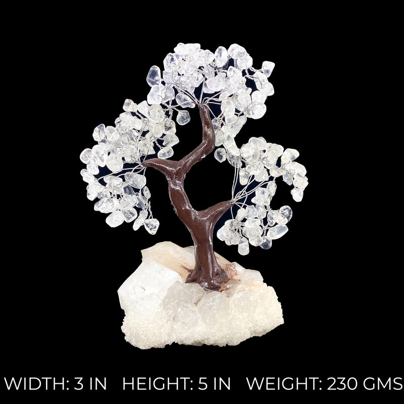 Himalayan Quartz Crystal Tree on Mineral Base