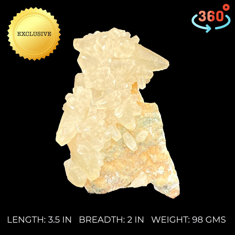 Snakehead Dog Tooth Smokey Calcite Specimen