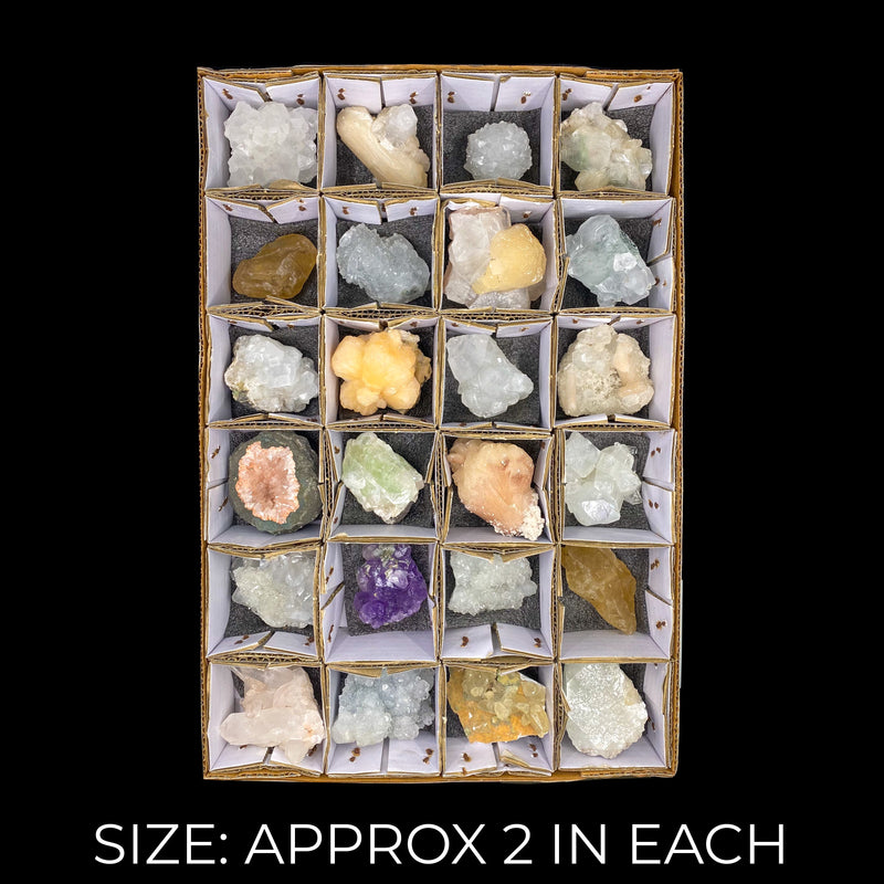 24 Compartment Mineral Flat