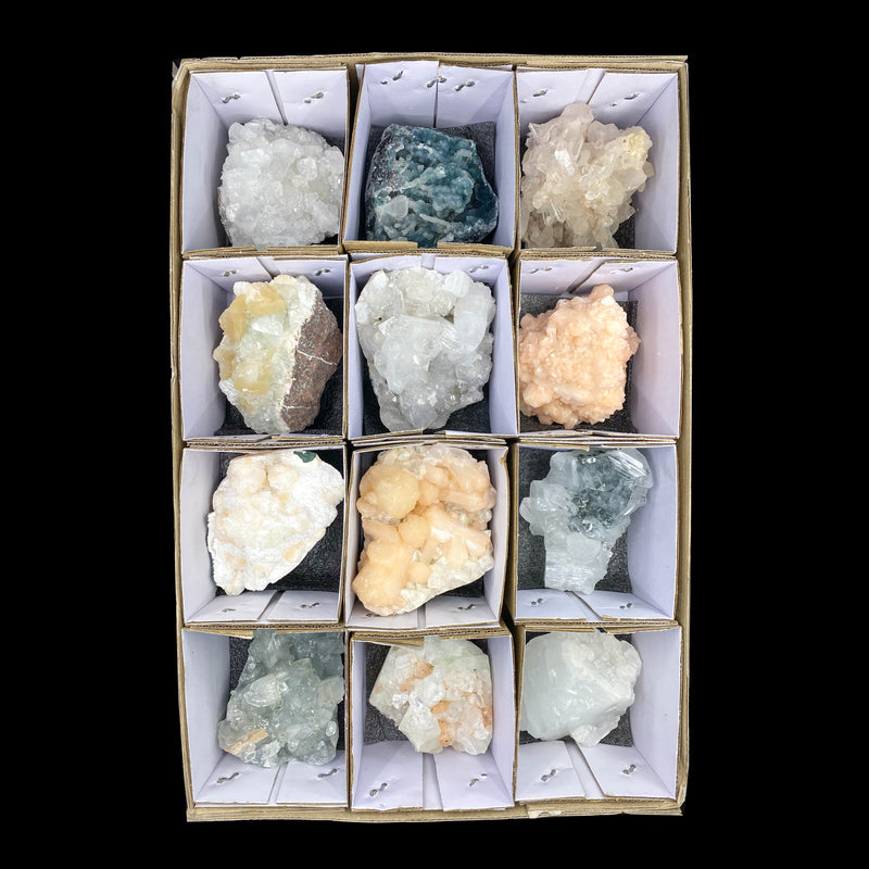 12 Compartment Mineral Flat
