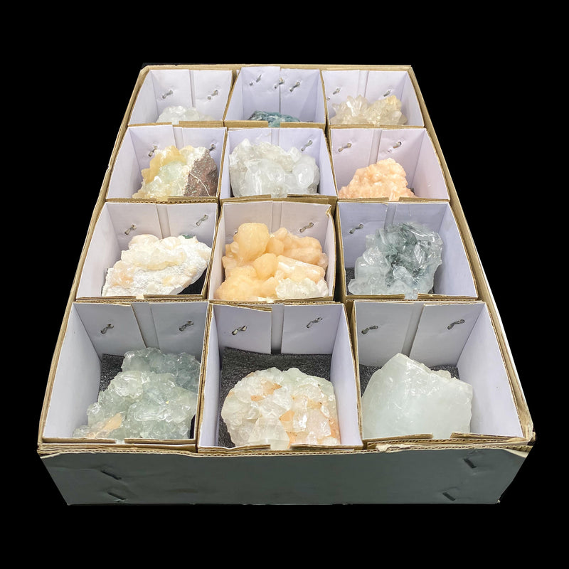 12 Compartment Mineral Flat