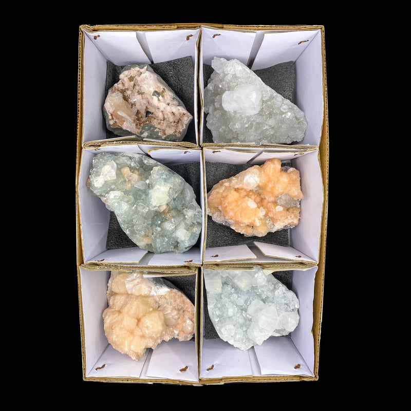 6 Compartment Mineral Flat