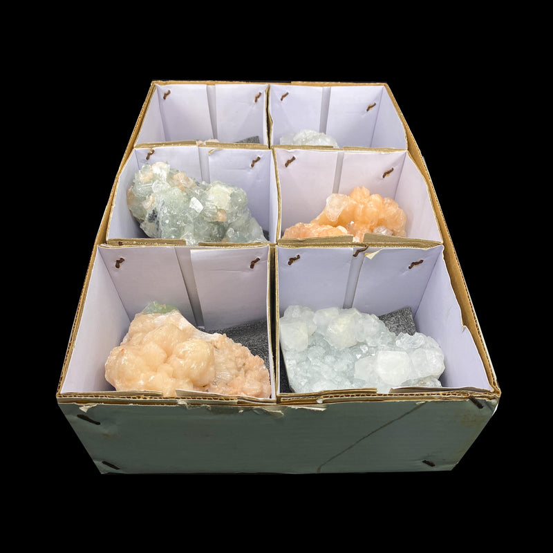 6 Compartment Mineral Flat