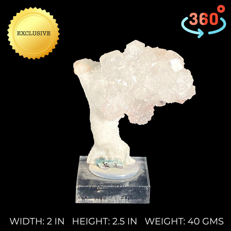 Small Apophyllite Cluster on Chalcedony