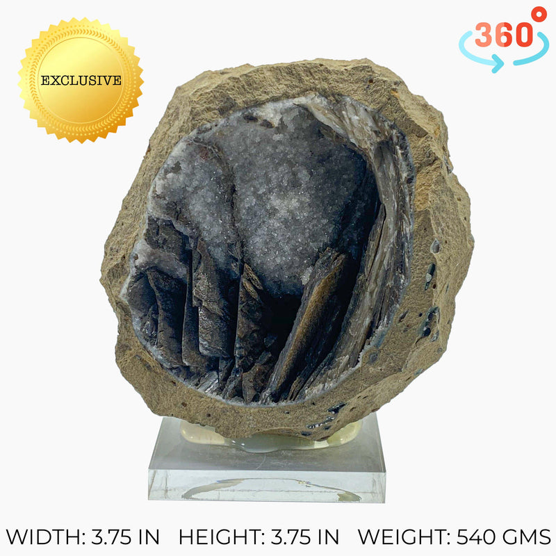 Rare Brown Calcite Vug