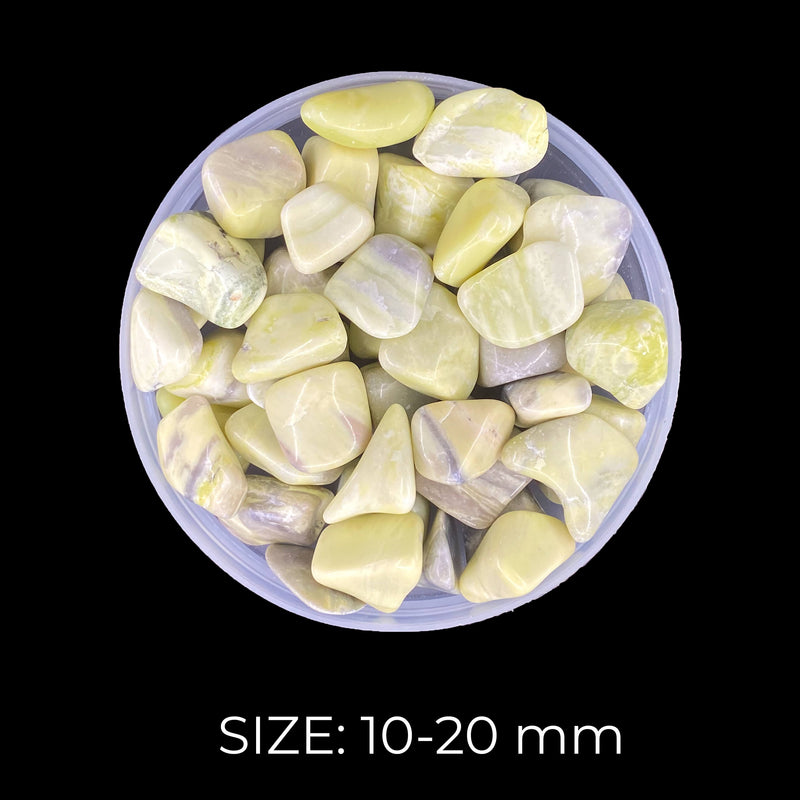 Serpentine Chips