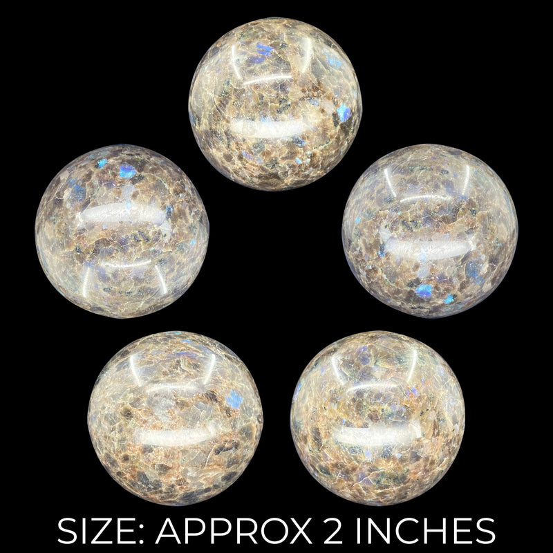 Brown Larvikite Spheres