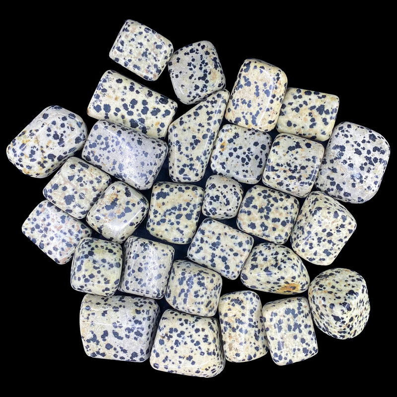 Dalmatian Jasper Tumbles