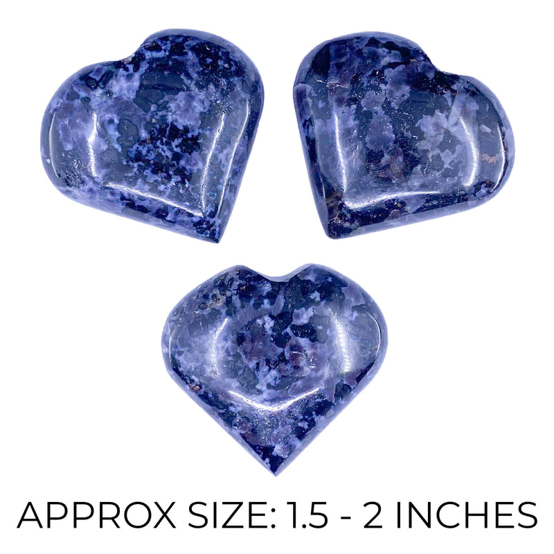 Indigo Gabro Hearts