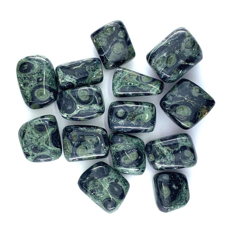 Kambaba Jasper Tumbles.
