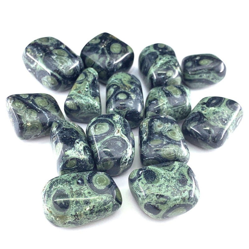 Kambaba Jasper Tumbles.