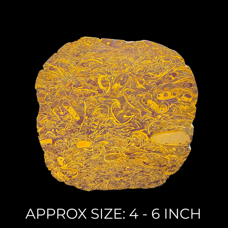Scriptstone Jasper Stone Slices