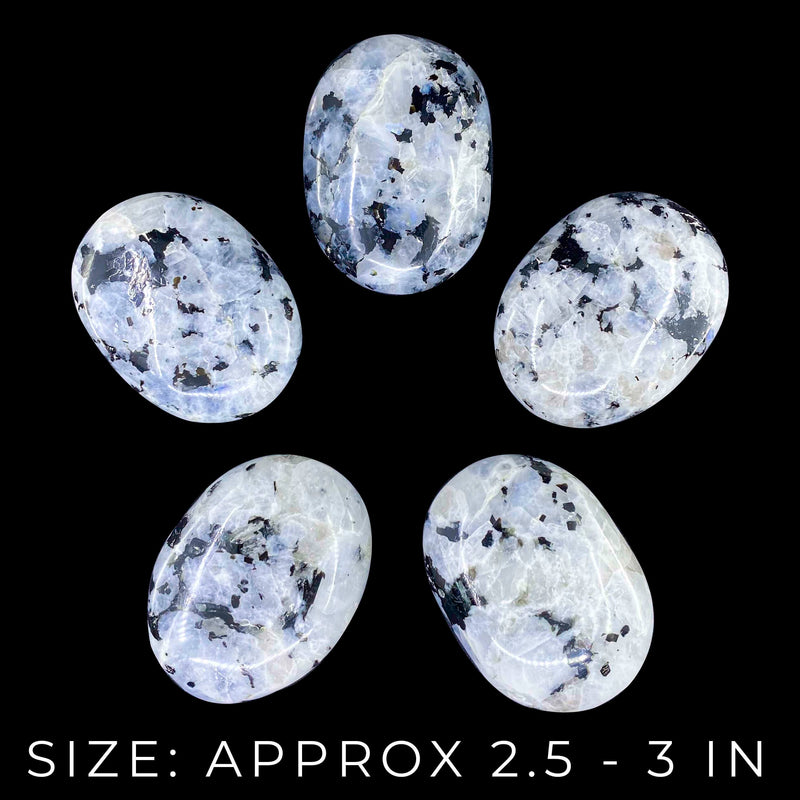 Rainbow Moonstone Palmstones