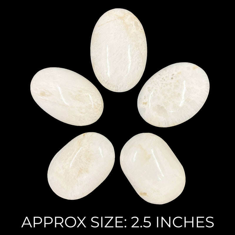 Scolecite Palmstones